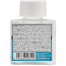 Vernis à Tableau Satiné 75 ml - Pébéo