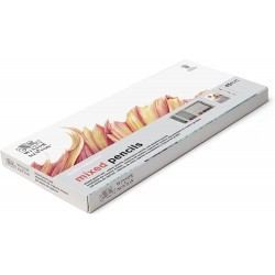 Coffret Studio Collection de 45 Crayons Technique Mixte - Winsor & Newton