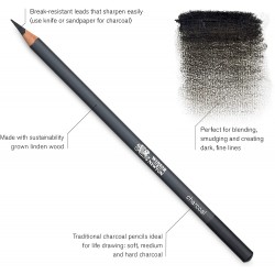 Set de 6 Crayons de fusain Studio Collection -  Winsor & Newton