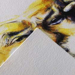 Album « C » à grain A5+ 30F 180gr - Canson