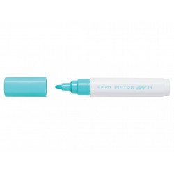 Marqueur Violet Pointe Moyenne - Pilot Pintor