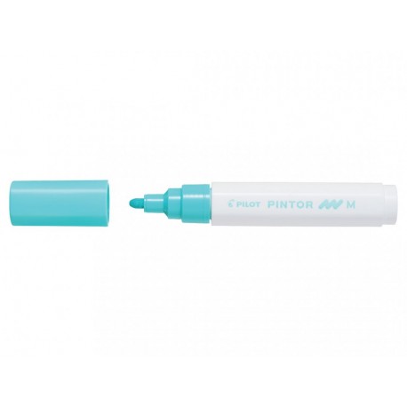 Marqueur Violet Pointe Moyenne - Pilot Pintor