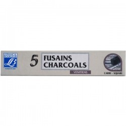 Etui 5 Fusains Petit Buisson Rond - Lefranc & Bourgeois