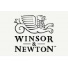 Winsor & Newton